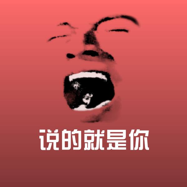 说的就是你斗图图片