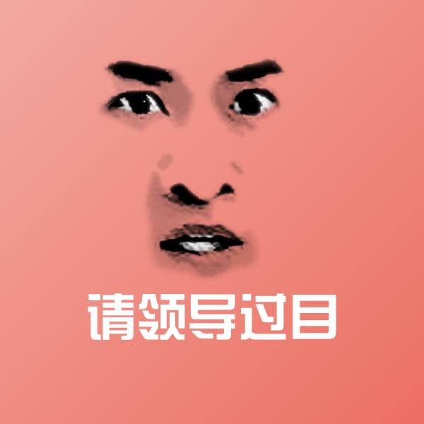 搞笑请领导过目表情