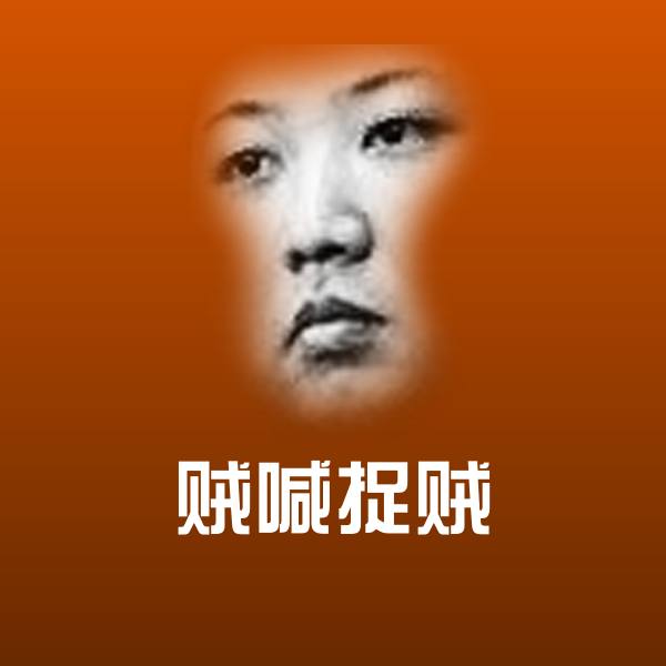 贼喊捉贼聊天表情