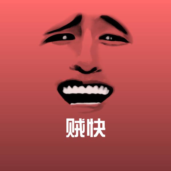 贼快沙雕表情包
