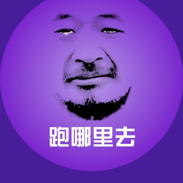 跑哪里去斗图神器
