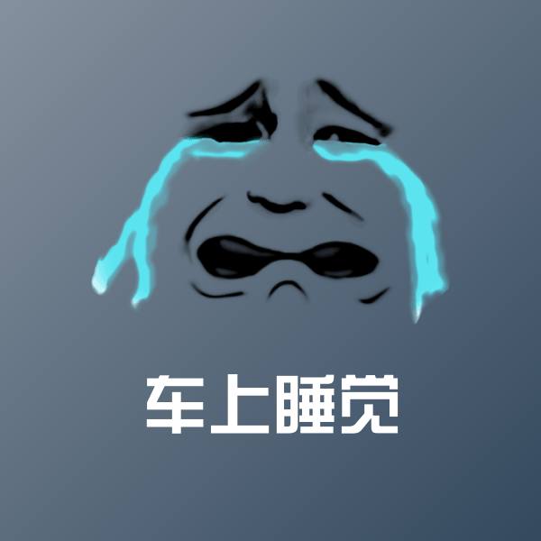 车上睡觉斗图图片