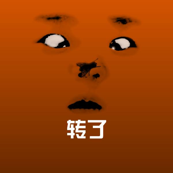 转了斗图图片
