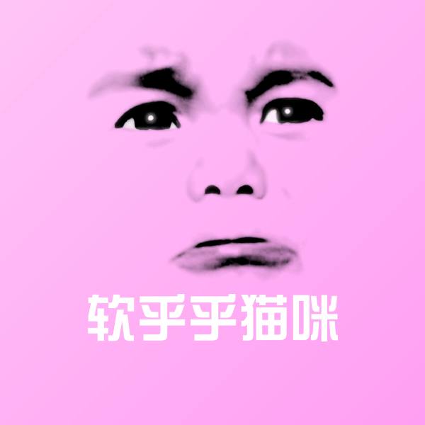 软乎乎猫咪表情包