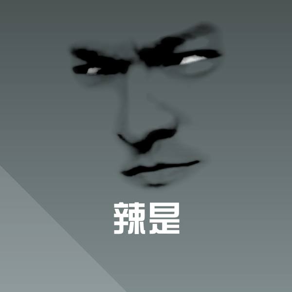 辣是表情包