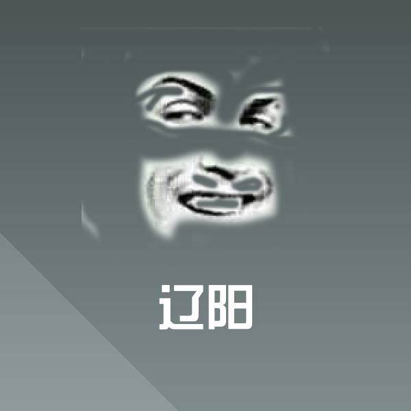 搞笑辽阳表情