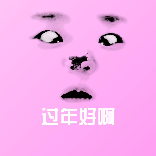过年好啊沙雕表情包 第1张
