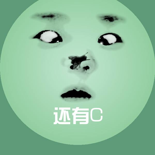 搞笑还有C表情