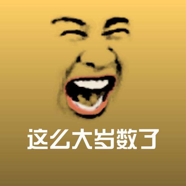 这么大岁数了斗图神器