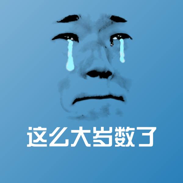 这么大岁数了斗图图片
