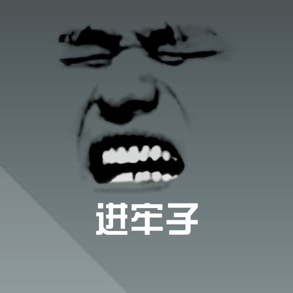 原创进牢子表情包