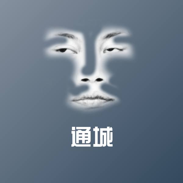通城聊天表情