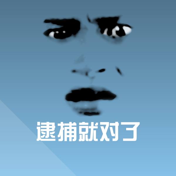 逮捕就对了微信表情包 第1张