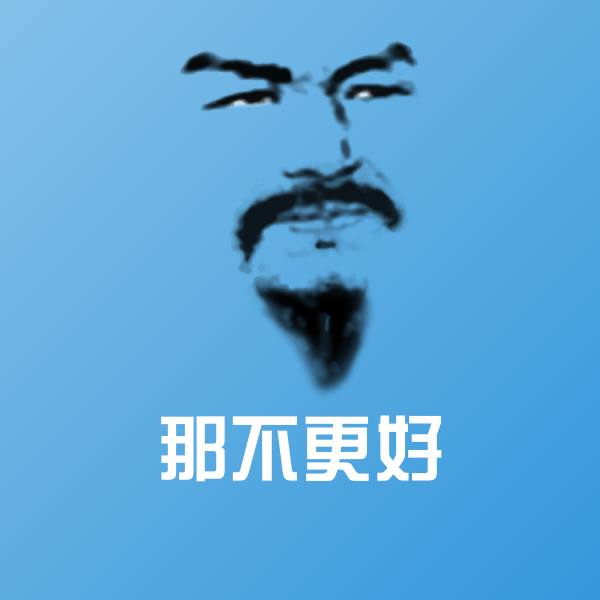 那不更好斗图图片
