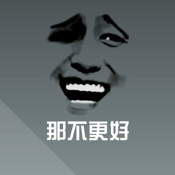 那不更好斗图图片