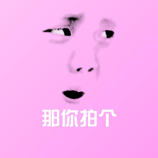 那你拍个沙雕表情包