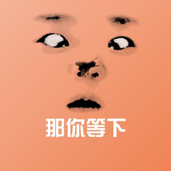 那你等下表情包