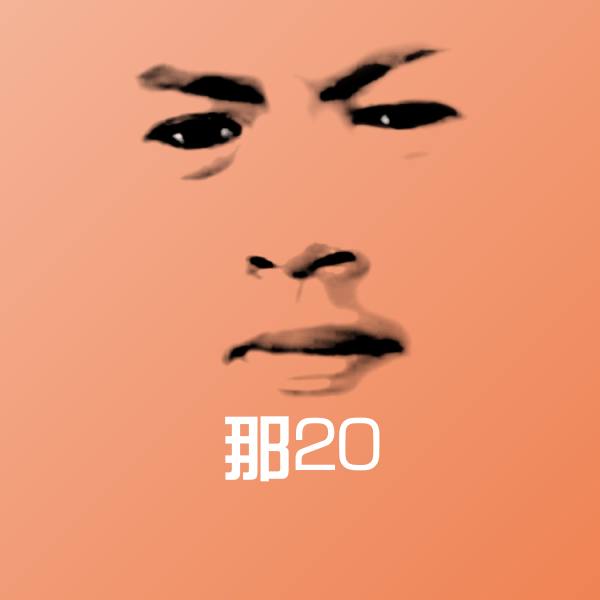 那20表情包