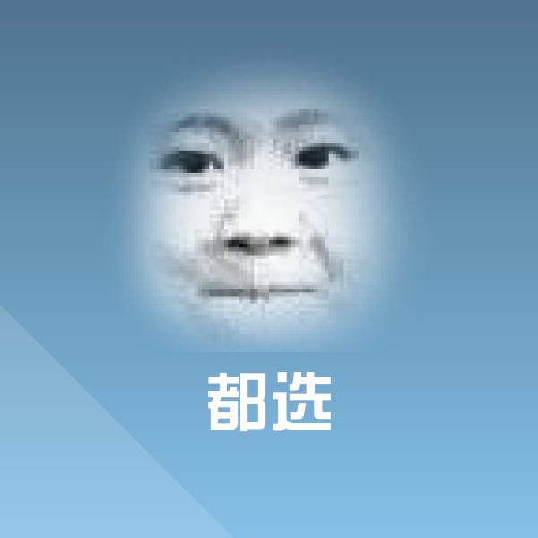 都选聊天表情
