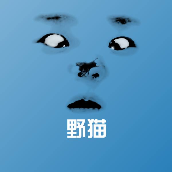 野猫斗图图片