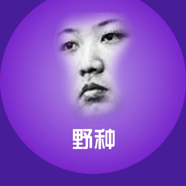 搞笑野种表情