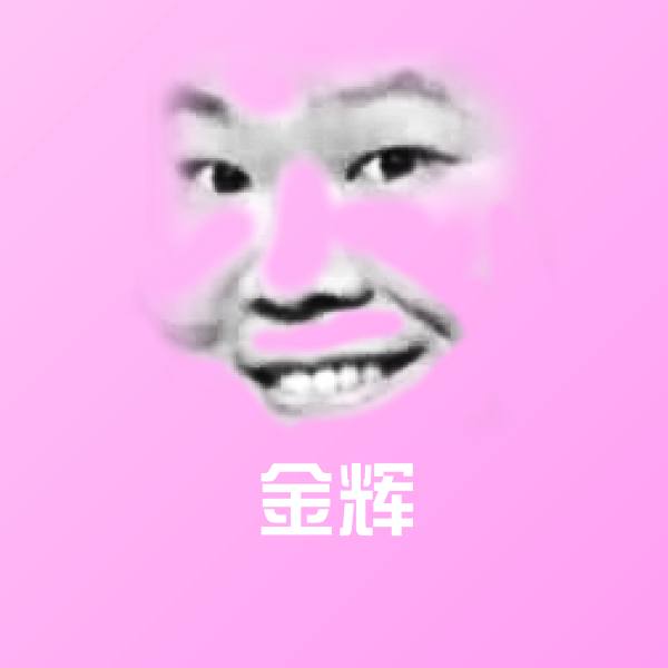 金辉表情包