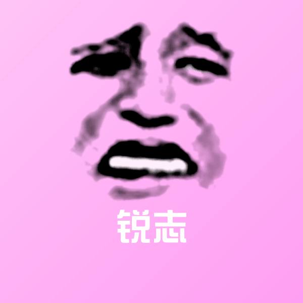 锐志沙雕表情包