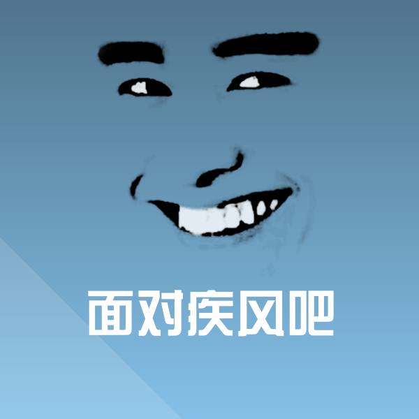 面对疾风吧表情包