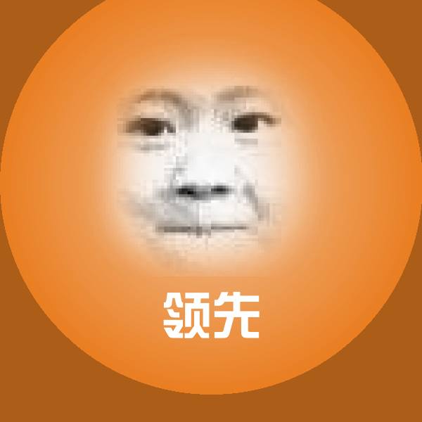 领先沙雕表情包