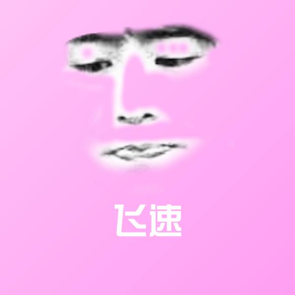 飞速沙雕表情包