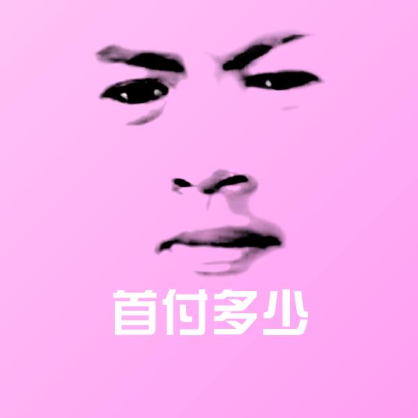 首付多少斗图图片