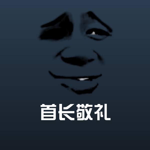 搞笑首长敬礼表情
