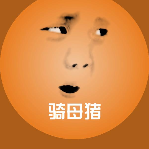 骑母猪表情包