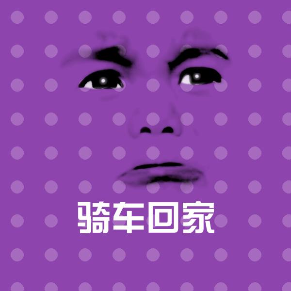 骑车回家斗图神器
