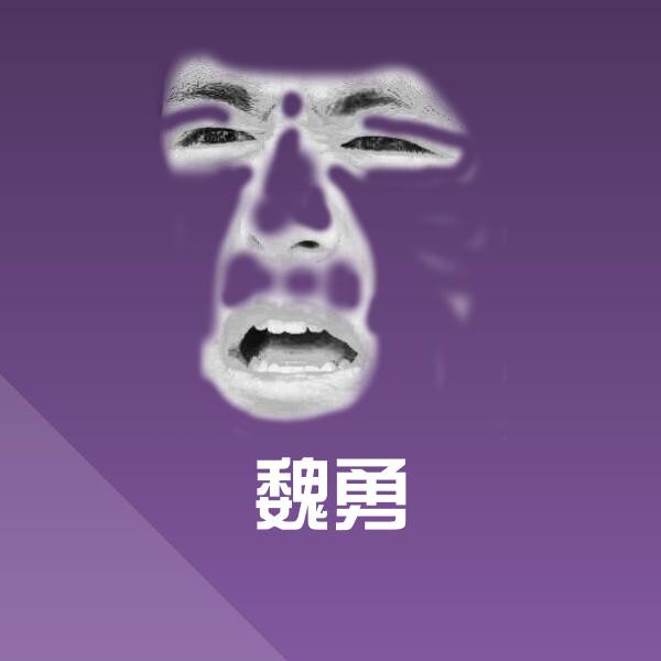 搞笑魏勇表情