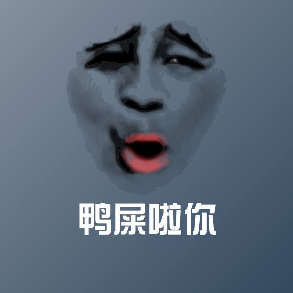 鸭屎啦你表情包