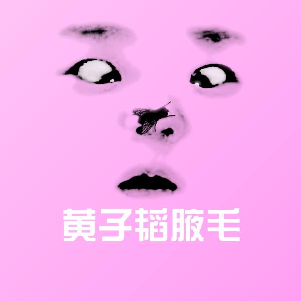 可爱黄子韬腋毛表情 第1张