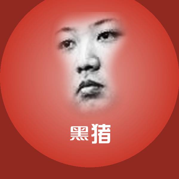 黑猪表情包