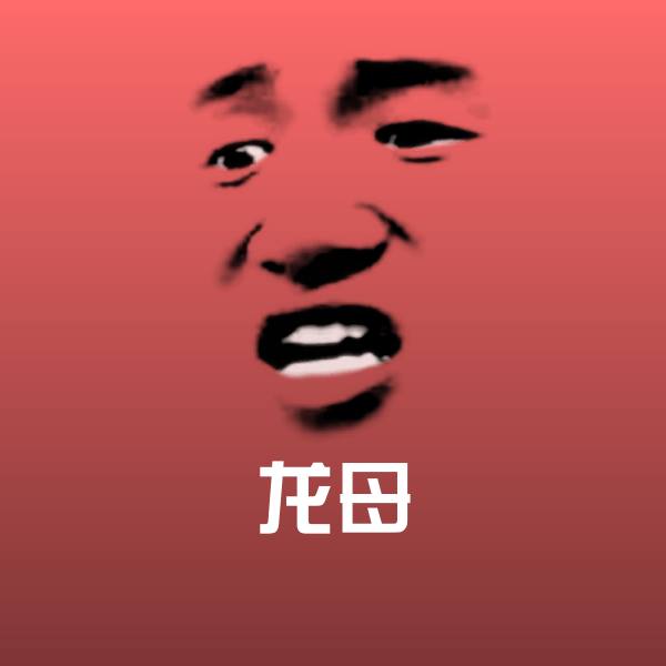 龙母表情包