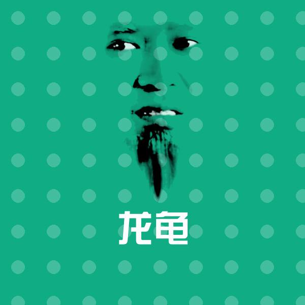 高清龙龟表情图片