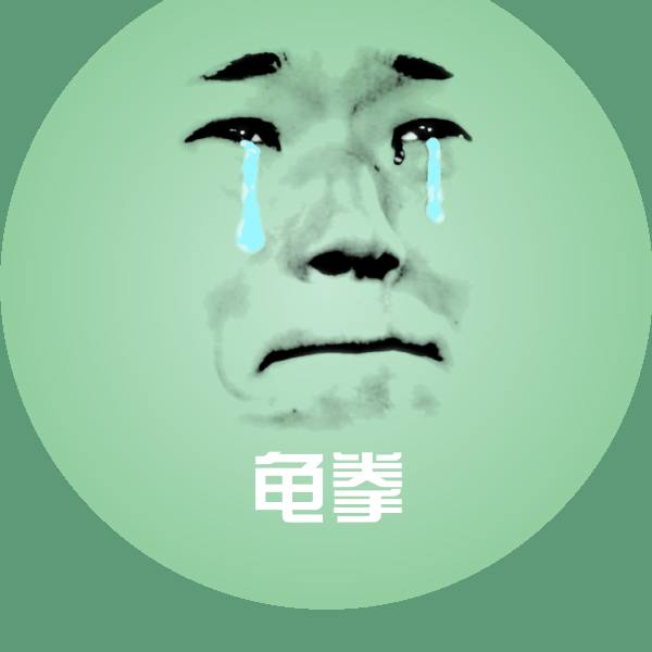 高清龟拳表情图片