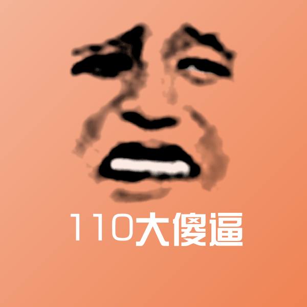 110大傻逼表情包