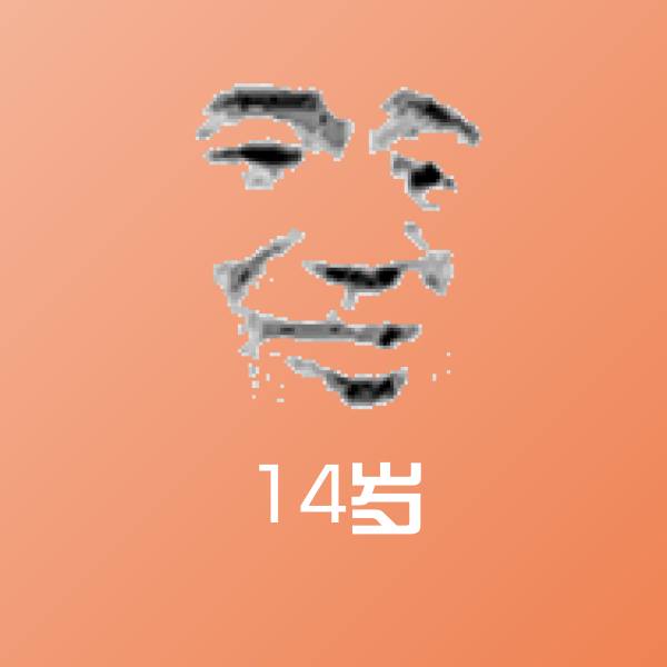 14岁表情包