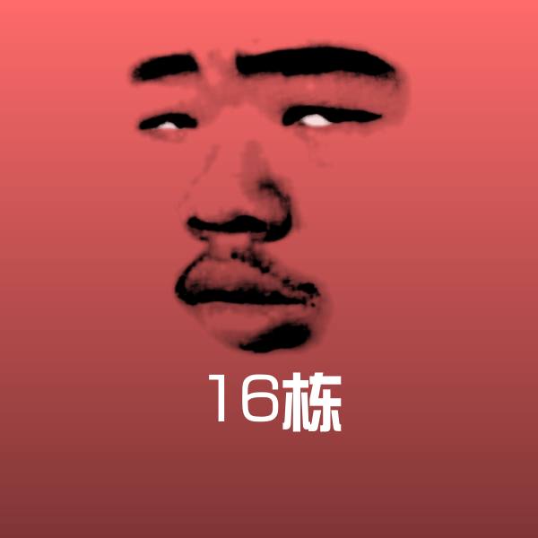 16栋斗图图片