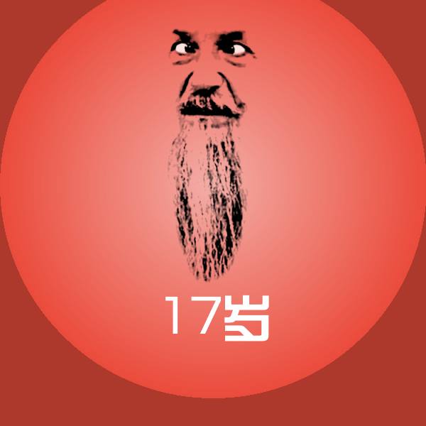 搞笑17岁表情