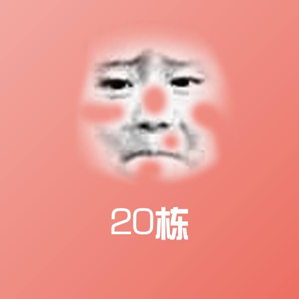 20栋斗图神器