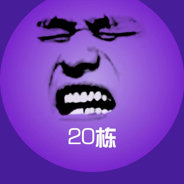 20栋斗图图片