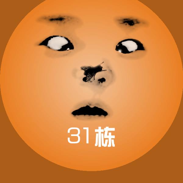 31栋微信表情包