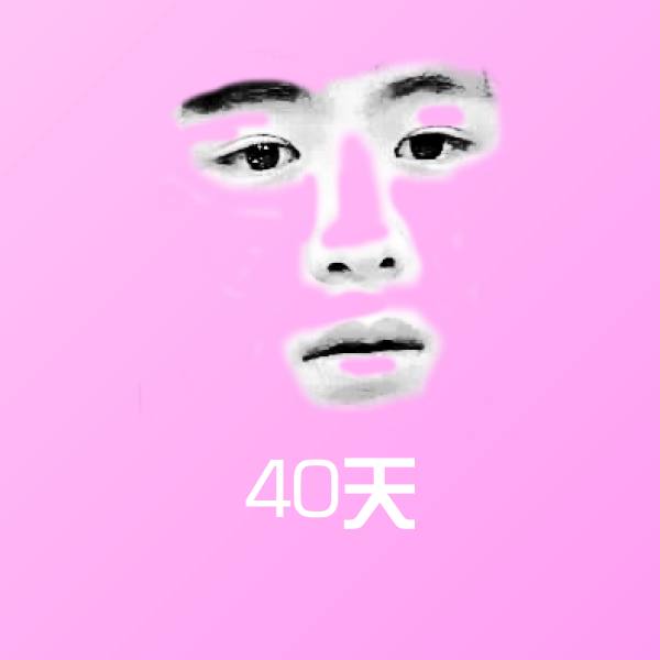40天斗图神器