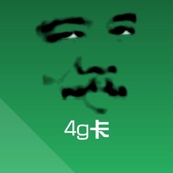 高清4g卡表情图片
